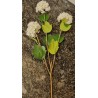 Kunstblume weiss