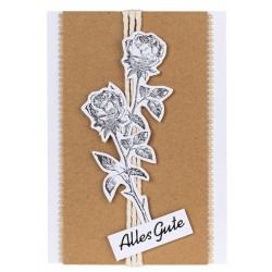 Stempel Kolibri