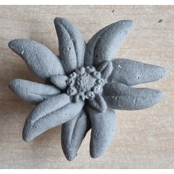 Beton Edelweiss grau Wetterfest