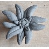 Beton Edelweiss grau Wetterfest