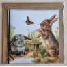 Kaninchen/Schmetterling