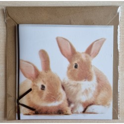 Zwei braune Kaninchen