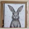 Kaninchen grau