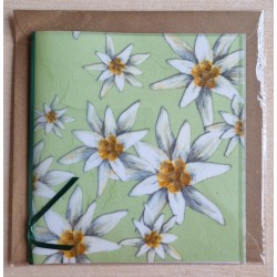 Edelweiss hellgrün