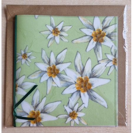 Edelweiss hellgrün