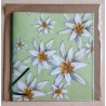 Edelweiss hellgrün