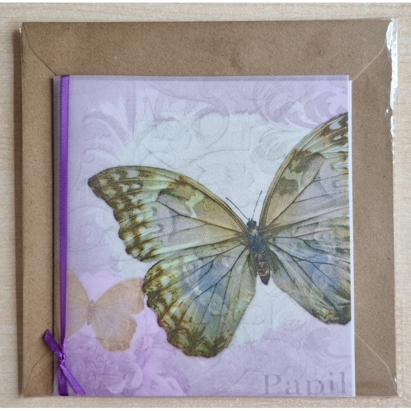 Schmetterling flieder