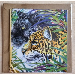 Leopard und Panther