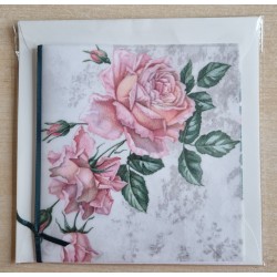 Rosen rosa