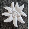 Beton Edelweiss weiss