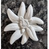 Beton Edelweiss weiss Wetterfest