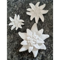 Beton Edelweiss weiss Wetterfest