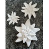 Beton Edelweiss weiss Wetterfest