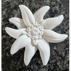 Beton Edelweiss weiss Wetterfest