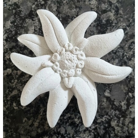 Beton Edelweiss weiss Wetterfest