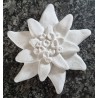 Beton Edelweiss weiss Wetterfest