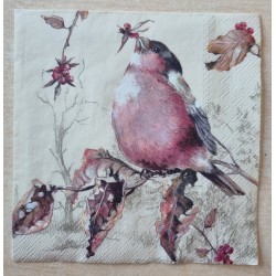 Serviette Buchfink
