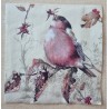 Serviette Buchfink