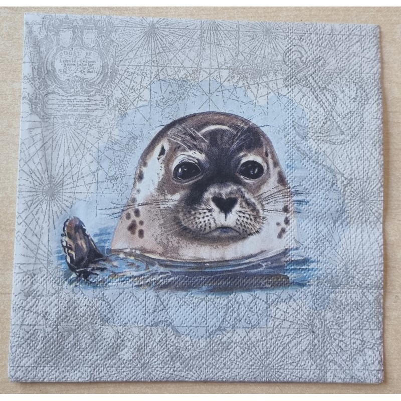 Serviette Robbe