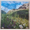 Serviette Berge/Blumenwiese