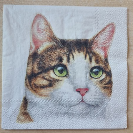 Serviette Katzenkopf