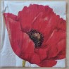 Serviette Mohnblume rot