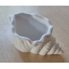 Beton Muschel weiß 1