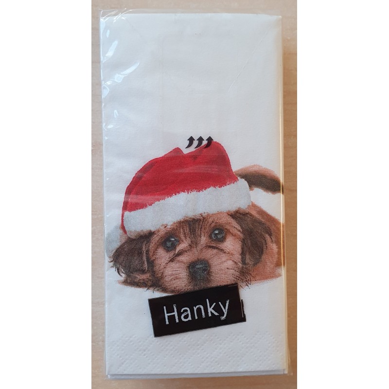 Taschentücher Hund mit Mütze