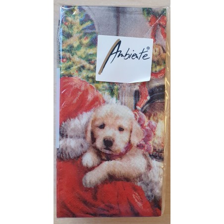 Taschentücher Hund mit Weihnachtsmann