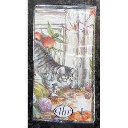 Taschentücher Katze
