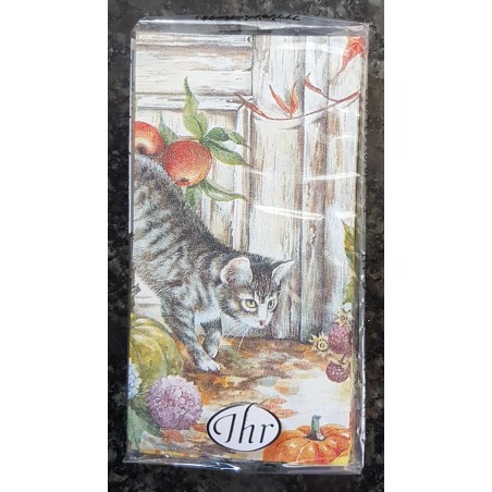 Taschentücher Katze