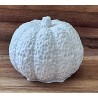 Beton Kürbis weiss 1
