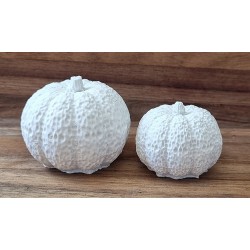 Beton Kürbis weiss 1