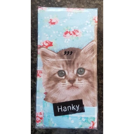Taschentücher Katze