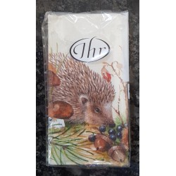 Taschentücher Igel