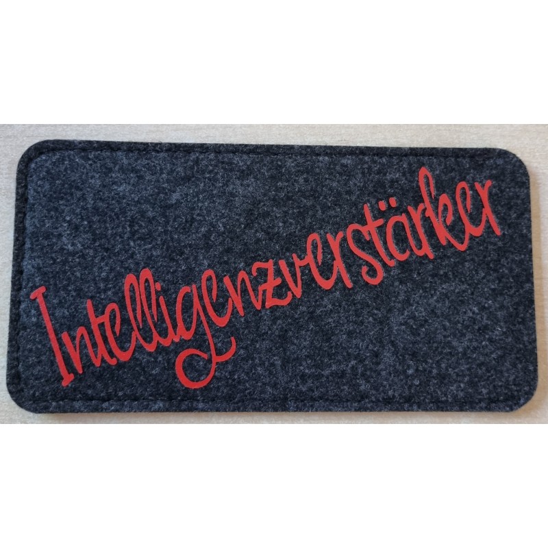 Filz Brillenetui Intelligenzverstärker anthrazit/rot