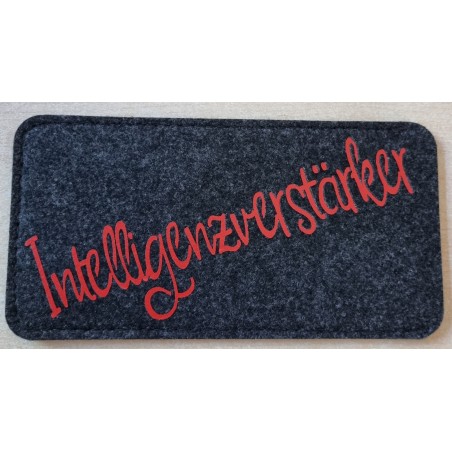 Filz Brillenetui Intelligenzverstärker anthrazit/rot