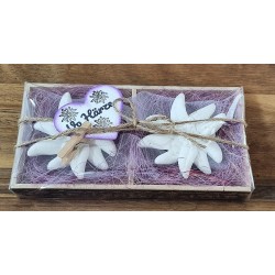 Edelweiss Set " Vo Härze " lila