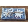 Edelweiss Set " Vo Härze " blau