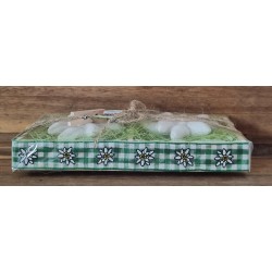 Edelweiss Set " Vo Härze " grün