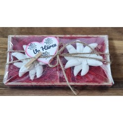 Edelweiss Set " Vo Härze " rot