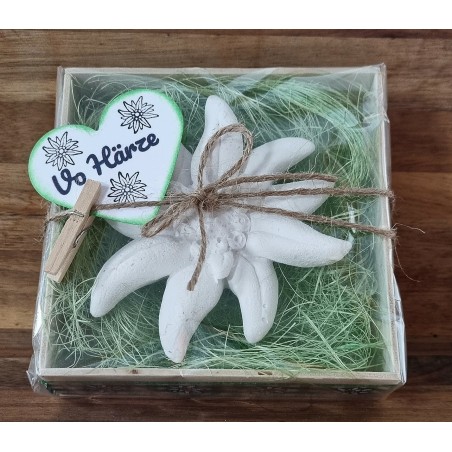 Edelweiss  " Vo Härze "  hellgrün/kariert