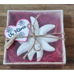 Edelweiss  " Vo Härze "  rot/kariert