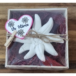 Edelweiss  " Vo Härze "  bordeaux/rot kariert