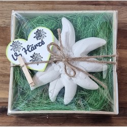 Edelweiss  " Vo Härze "  grün/kariert