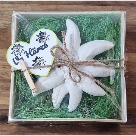 Edelweiss  " Vo Härze "  grün/kariert