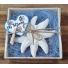 Edelweiss  " Vo Härze "  blau/kariert
