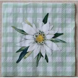 Serviette Edelweiss/Karo hellgrün
