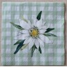 Serviette Edelweiss/Karo hellgrün