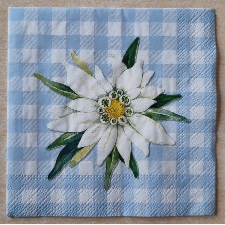 Serviette Edelweiss/Karo hellblau